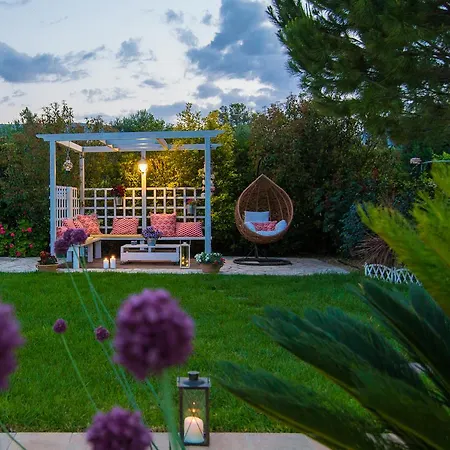 Komfort Ambelokipoi (Zakynthos)