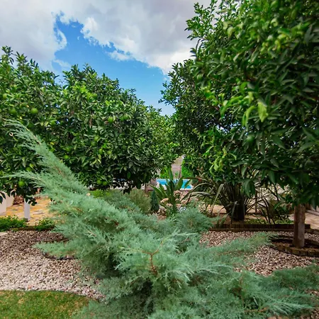 Villa Komfort Ambelokipoi (Zakynthos)