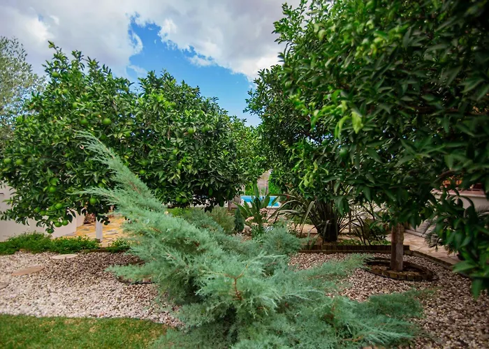 Βίλα Komfort Ambelokipoi (Zakynthos)